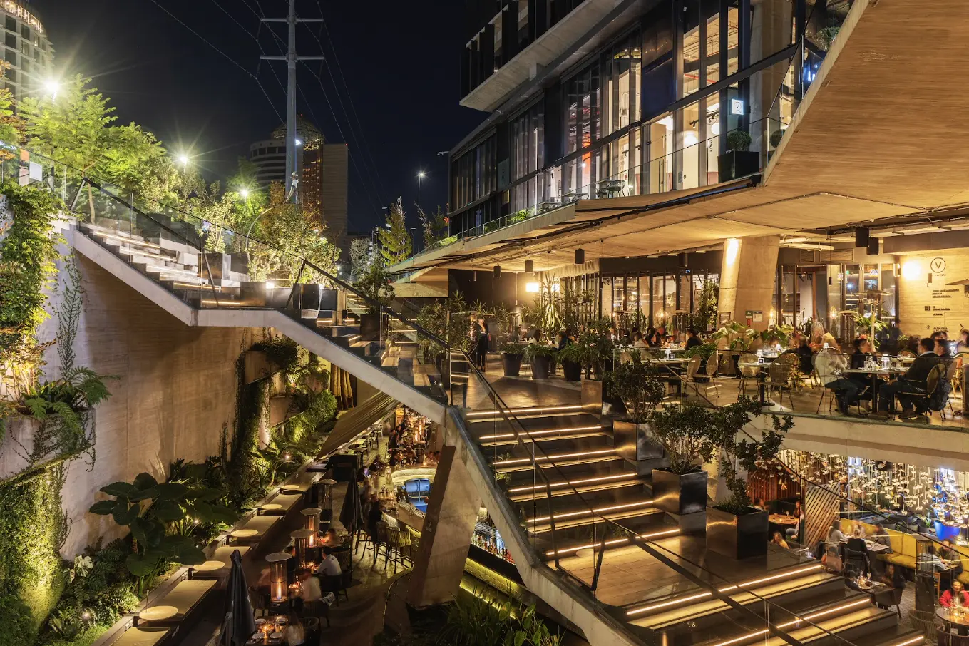 CV Galería de noche